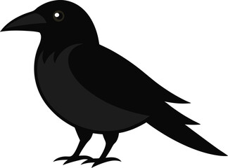 Closeup of a rook bird standing on the ground with natural background, black feathers, intelligent gaze, wild crow family member – perfect for wildlife, nature, or bird-themed designs.