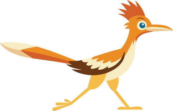Vibrant roadrunner bird in natural habitat, fast-running ground cuckoo species, desert wildlife photography, exotic wild bird on the move, stock image for nature and bird lovers