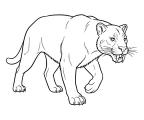 Smilodon Line Art