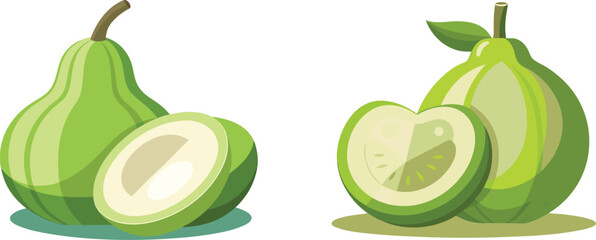 Bottle gourd calabash with smooth green vegetable vector art design set