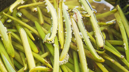 Close-up of ripe vanilla beans dipped in hot water to start the enzyme process before sun drying,...