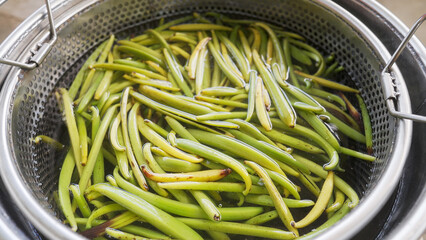 Ripe vanilla beans in water killing process of curing for enzyme activation after harvest