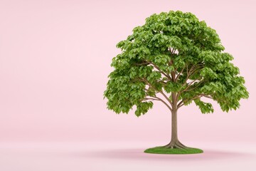 Fototapeta premium Lush Green Tree on Soft Pink Minimalist Background