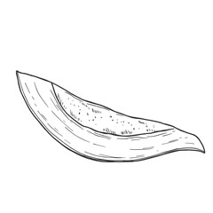 Papaya slices. Ink sketch isolated on white background. Hand drawn vector illustration. Retro style.