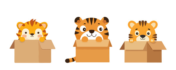 Cute Cartoon Baby Tigers in Cardboard Boxes Set Vector Illustration Hiding Peeking Playful Animal Characters Graphic Design Element