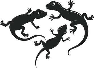From vibrant reptiles, this collection captures the charm and diversity of lizards in artistic form