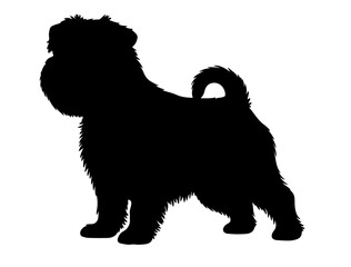 Mexican hairless in silhollouette vector image white baclground.