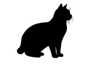 Merican Shorthai in silhollouette vector image.