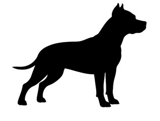 American Staffordshire terrierin silhollouette vector.