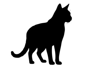 Balinese in silhollouette vector image white baclground.