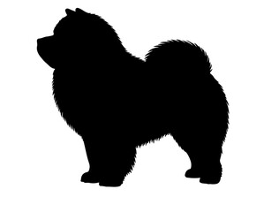 Chinese shar-pei  in silhollouette vector image.