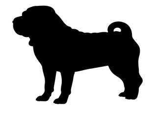 Chinese shar pei  in silhollouette vector image.