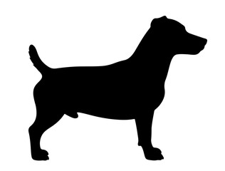 German shepherd in silhollouette vector image.