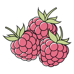 Three Pink Raspberries with Green Leaves Illustration