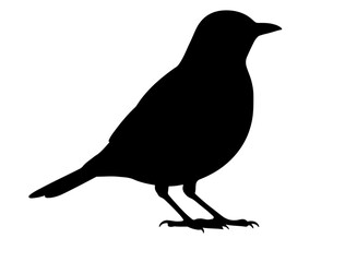 Vector image of Teal in silhollouette on white baclground.