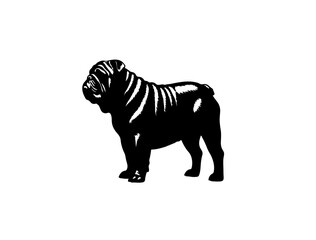 Bull dog in silhollouette vector image on white background.