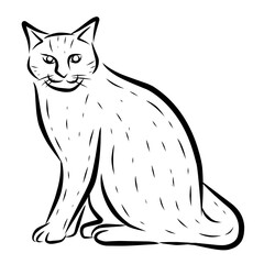 vector illustration of a cat