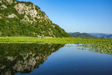 Mountains, water lilies and reeds on Skadar Lake, Montenegro – natural beauty of the Balkans