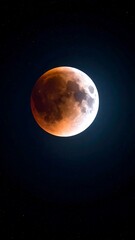 Fototapeta premium Blood Moon Night Sky Celestial Event.