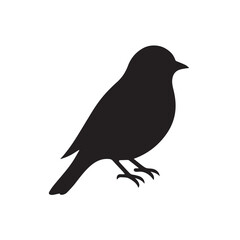 This vector image shows a chick in glyph icon design. It is isolated on a white background.