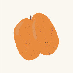 Fresh apricot with apricot half. Summer fruit. Farming, harvesting. Healthy and organic food. Vector illustration in flat style.