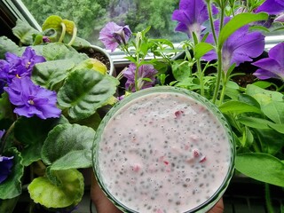  glass of chia on plant milk with berries on the background of a window with indoor purple flowers 