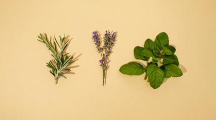 Fresh rosemary, lavender flowers and mint mojito on a beige background. Natural medical concept