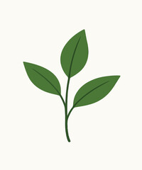 Fototapeta premium leaves on white background. minimalist vector illustration