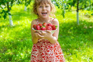 Child with strawberries in the garden. Selective focus.