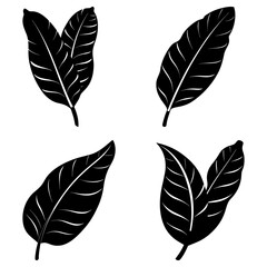 Four black and white tropical leaves with curved veins arranged on a white background in a square grid
