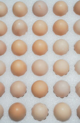 collection fresh white eggs neatly organized in egg box at local market. display highlights farm-fresh quality produce. close up.