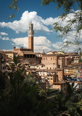 Obraz premium View of Siena, Italy, with Torre del Mangia