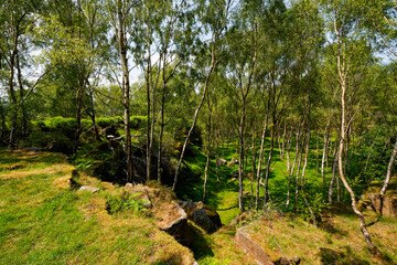 On the edge of the disused Bole Hill Quarry near Hope in Derbyshire.