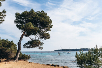 Obraz premium Scenic coastal landscapes of Sainte-Marguerite Island with pine trees, rocky shore, and turquoise sea.