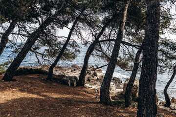 Scenic coastal landscapes of Sainte-Marguerite Island with pine trees, rocky shore, and turquoise sea.