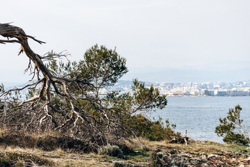 Scenic coastal landscapes of Sainte-Marguerite Island with pine trees, rocky shore, and turquoise sea.