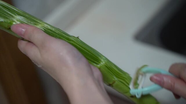 peeling a celtuce with a peeler in slow-motion. Concept of preparing a salad and getting ingredients ready