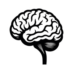 Isolated Brain Illustration with Stem