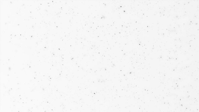 Dust particles floating in air on white background