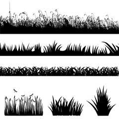 Silhouetted Weeds And Grass: A Patchwork Of Verdant Shapes