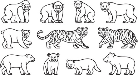 Line Art Illustrations of Gorillas Chimpanzees Orangutans Bears and Tigers in Black and White vector 1