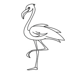 Flamingo Line Art Drawing Vector bird