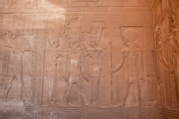 Ancient egyptian carvings on the walls of Kom Ombo temple in Aswan, Egypt