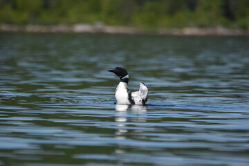 Parc Mauricie - 21 Juin 2025