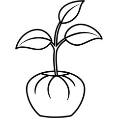 Elegant Sprout Outline Vector