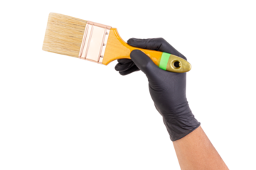 Hand wearing black glove holding a wide paintbrush with wooden handle, isolated on white background, ideal for painting or renovation themes.