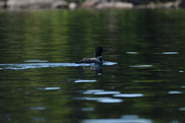 Parc Mauricie - 21 Juin 2025