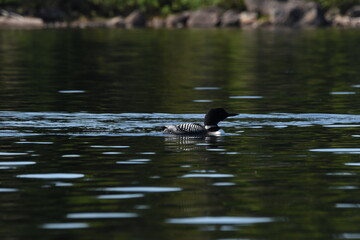 Parc Mauricie - 21 Juin 2025