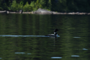 Parc Mauricie - 21 Juin 2025