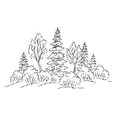 Nature landscape with forest. Hand drawn vector illustration.